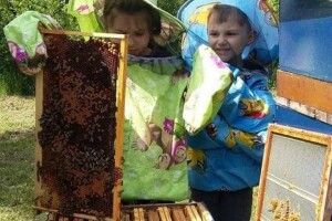 Sedmogodišnji blizanci Mia i Filip od treće godine uče o pčelarstvu