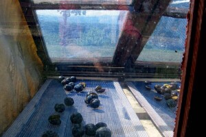 Kako napraviti solarnu rernu i sušaru za voće od otpadnih materijala?