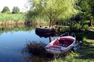 Sam napravio vlastito jezero - vratio laste, kornjače, mlakuše