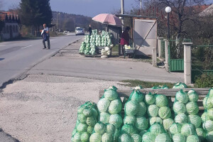 Slovenci iz srca Bosne: Kupus posadimo na rizik, niti znamo da li će biti dobar, ni da ćemo ga uspjeti prodati