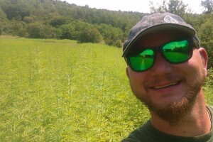 Industrijska konoplja na OPG Zornada