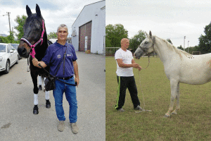 Uzgoj konja i jahanje čuvaju od zaborava