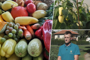 Proizvodnju počeo bez podrške, danas ne stiže zadovoljiti potražnju