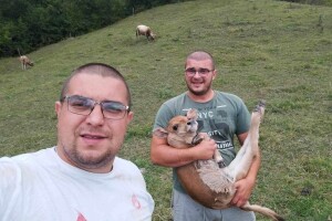 Bušama spasili porodično imanje