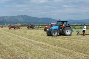 Natjecanje dalmatinskih orača