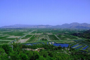 Neretvanske lubenice i dinje