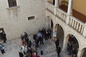 Maslina traži sve više brige i da se sluša struka!