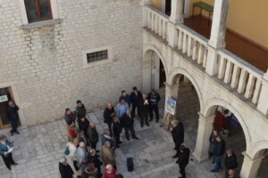 Maslina traži sve više brige i da se sluša struka!