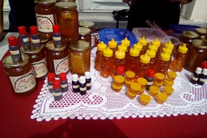 10. Dani pčelarstva, voćarstva i našeg sela u Novom Gradu