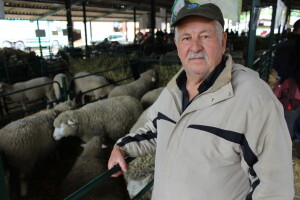 Vlajko Jovešić iz Bačkog Novog Sela