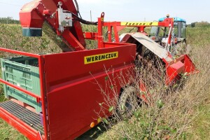 Strojna berba aronije na OPG-u Remenar