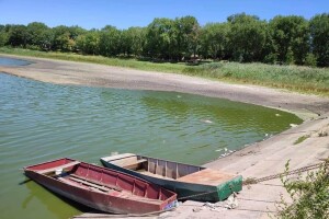 Čonopljansko jezero - pomor ribe