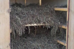 Krenulo je s rekreativnim uzgojem, a završili kao profesionalci