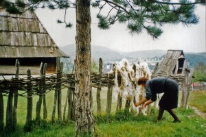 Nekada proizvodnja konoplje i vune