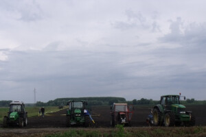 Natjecanje u oranju Osječko-baranjske županije