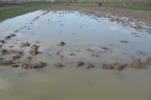Poplavljenje njive u okolini Topole