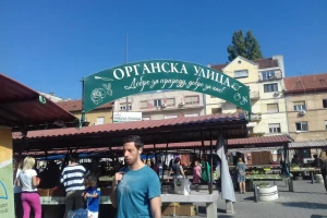 Organska ulica Novi Sad 2018