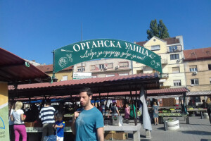 Organska ulica Novi Sad 2018