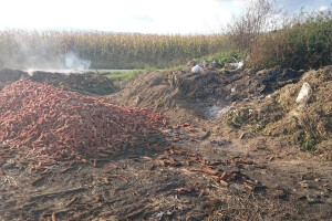 Bilješka o oklascima