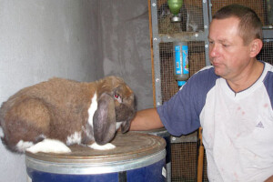 Kunićar Božo Drenski