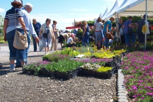 Floraart - 51. međunarodna vrtna izložba