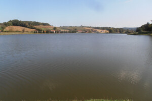 Hrvatski lovački savez za milijun eura kupio vilu Garić u Podgariću