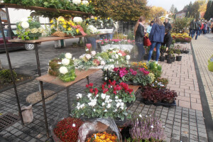 Cvjetna košarica za selfi - hit u Ždralovu gradu