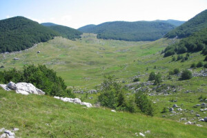 Transhumantno stočarstvo na Velebitu, Biokovu...