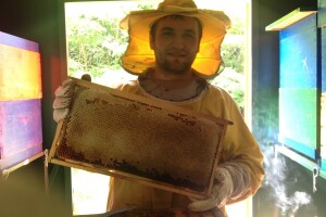 Pčelarstvo Krivačić