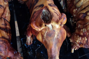 U Vinkovcima otvoren Praseći butik