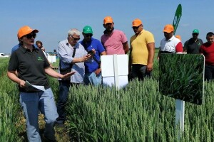 Radionica Petrokemije o UAN gnojivu