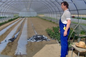 Podravsko povrće na podravskim stolovima