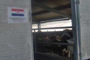 Zov sela i poljoprivrede bio je jači od Zagreba