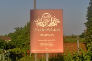Vina Matočecovih zlata vrijede