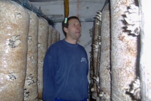 Uzgojem bukovača do popune obiteljskog proračuna