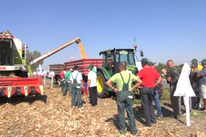 Pioneer hibridi ponovo rekordni