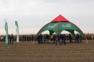 Pioneer Dan polja - Klisa 2015