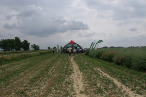 Pioneer uljana repica