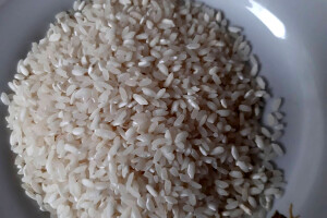 Mikotoksini - opasnost koja vreba iz plesni