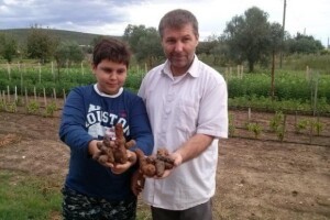 Uzgoj alternativnih kultura