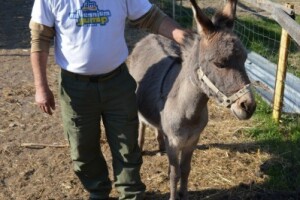 Magareće mlijeko iz Šopota