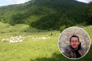 Izet Trnka: Ovčarima duguju poticaje za 2018., a to nisu svi problemi