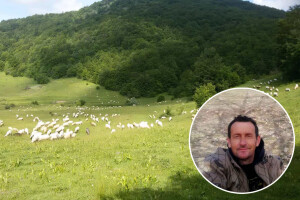 Izet Trnka: Ovčarima duguju poticaje za 2018., a to nisu svi problemi