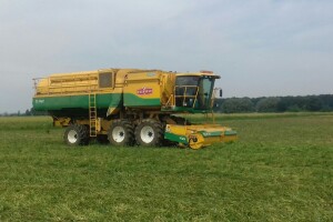 U Podravini počela berba graška