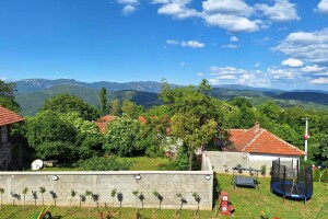 Penzionerske dane u Beogradu zamenjuju seoskim turizmom na Suvoj planini