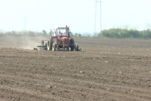 Ulaganje u poljoprivredu Rume