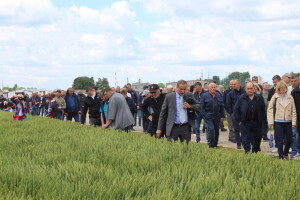 Dani polja pšenice i ječma Poljoprivrednog instituta Osijek 2025.