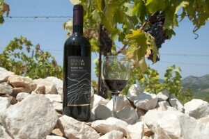 Pola milijuna kuna za navodnjavanje