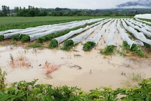 Poplave u opštini Knić