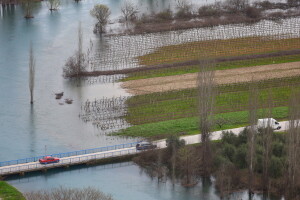 Poplavljeni vinogradi i voćnjaci u vrgoračkom polju